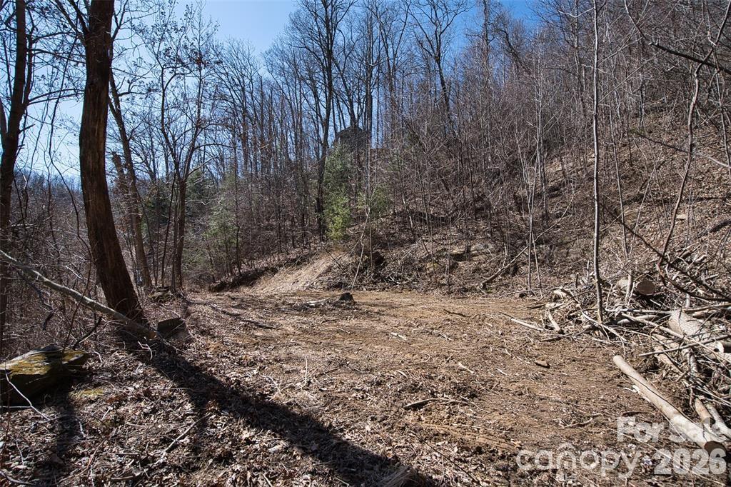99999 Green Ridge Falls Road Barnardsville NC 28709