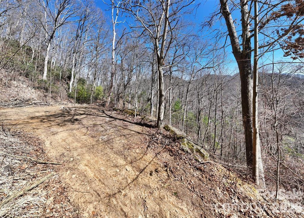 99999 Green Ridge Falls Road Barnardsville NC 28709