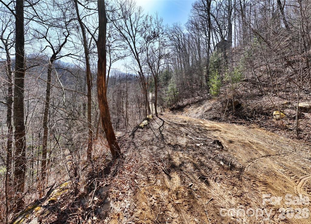 99999 Green Ridge Falls Road Barnardsville NC 28709