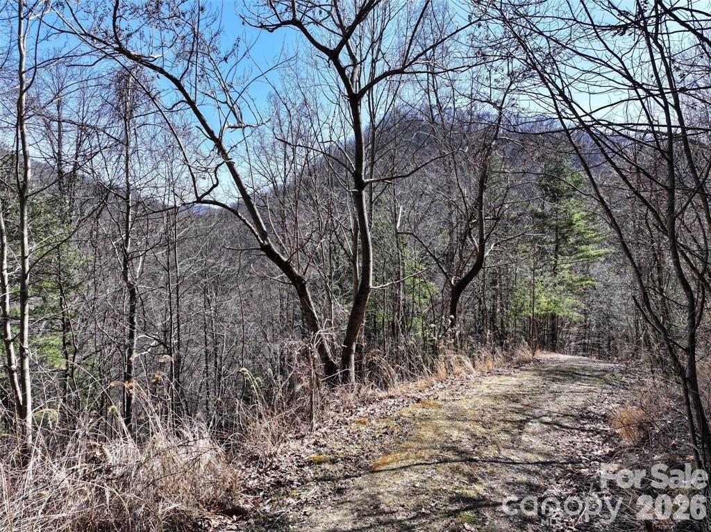 99999 Green Ridge Falls Road Barnardsville NC 28709