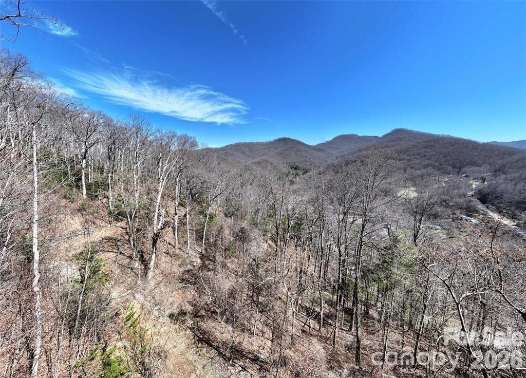 99999 Green Ridge Falls Road Barnardsville NC 28709
