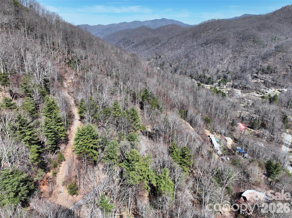 99999 Green Ridge Falls Road Barnardsville NC 28709