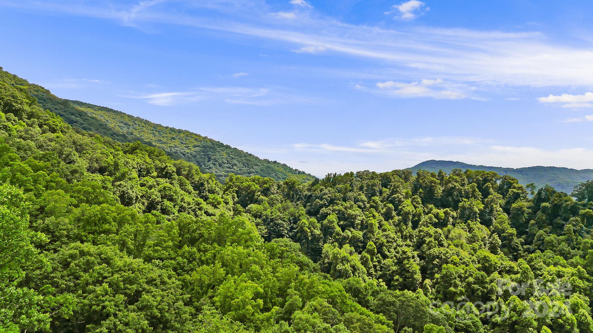 158 Sugar Cove Road Weaverville NC 28787
