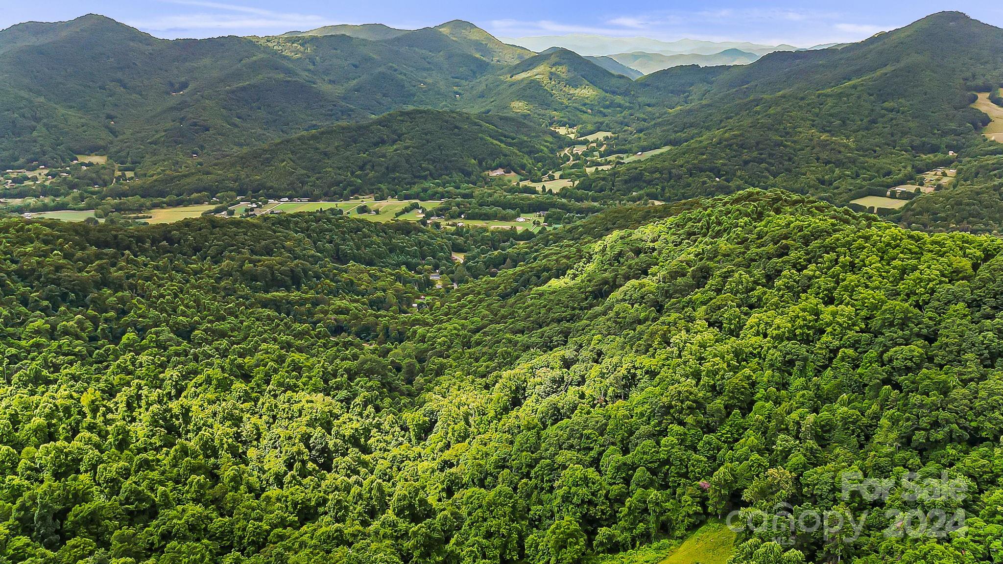 158 Sugar Cove Road Weaverville NC 28787