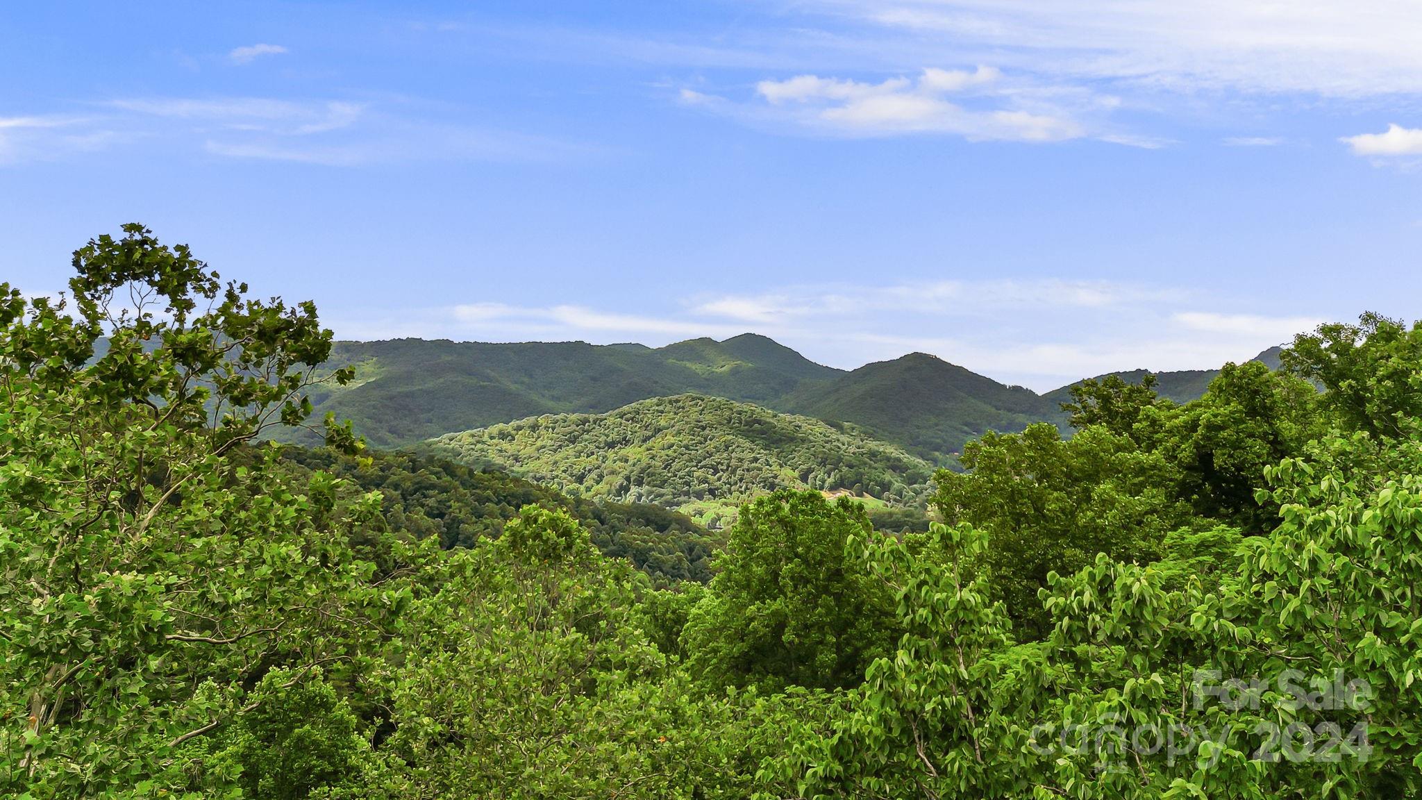 158 Sugar Cove Road Weaverville NC 28787