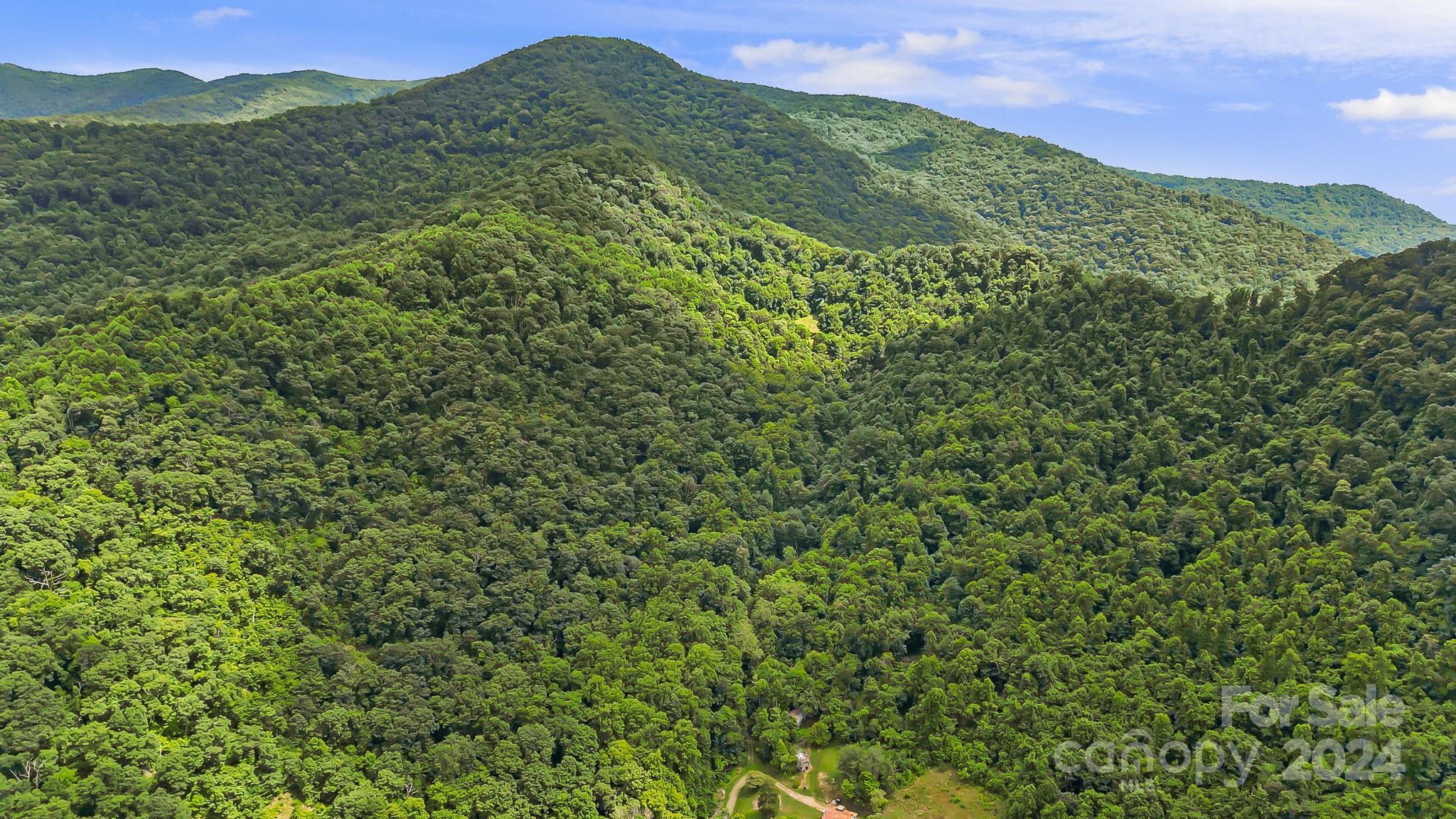 158 Sugar Cove Road Weaverville NC 28787
