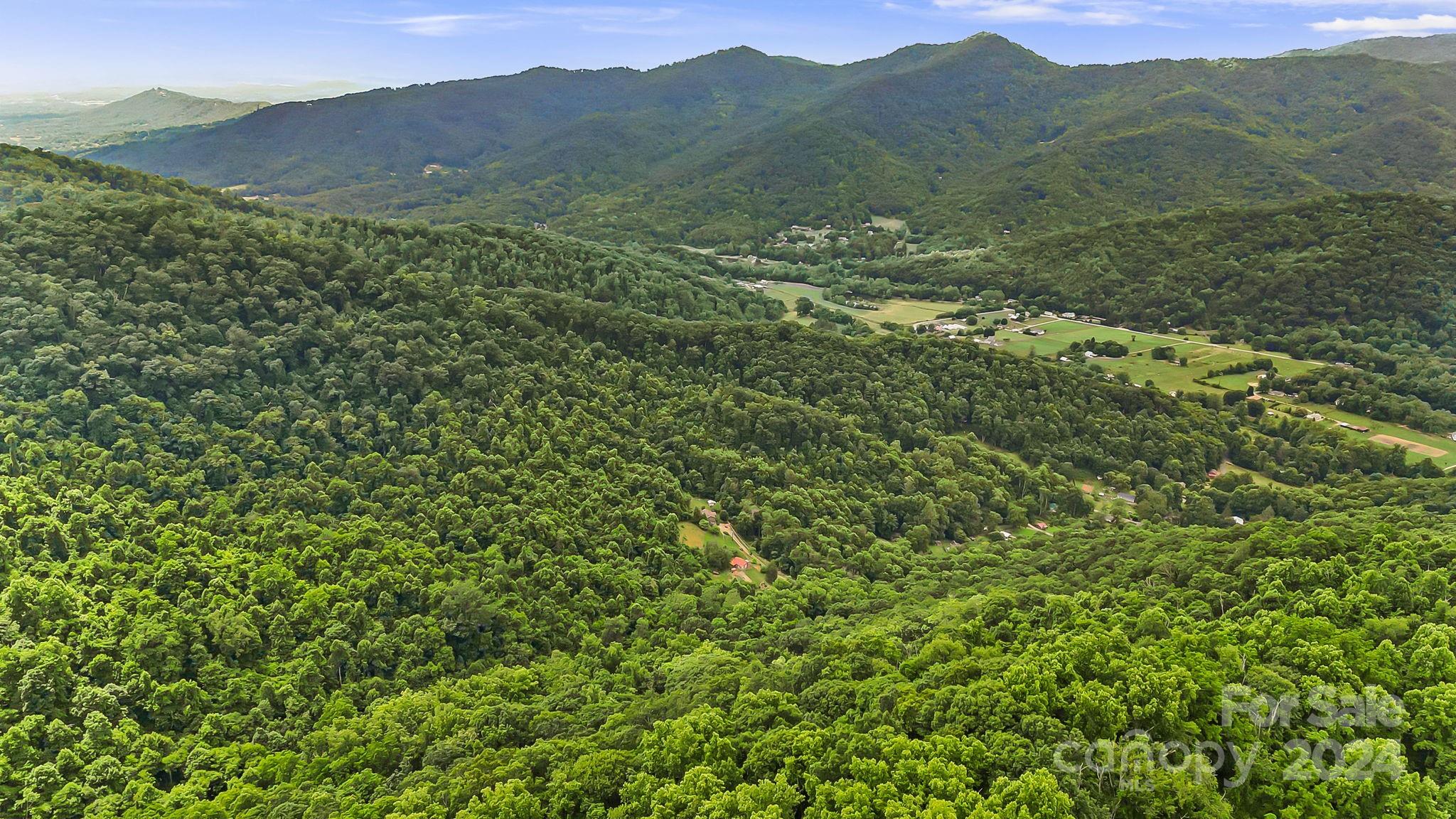 158 Sugar Cove Road Weaverville NC 28787
