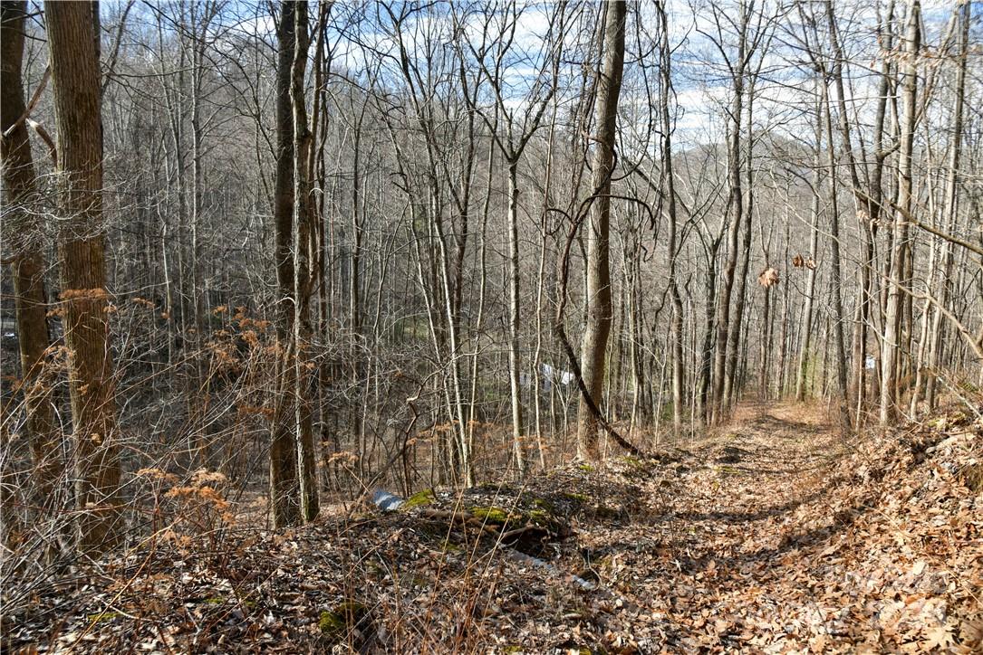 158 Sugar Cove Road Weaverville NC 28787