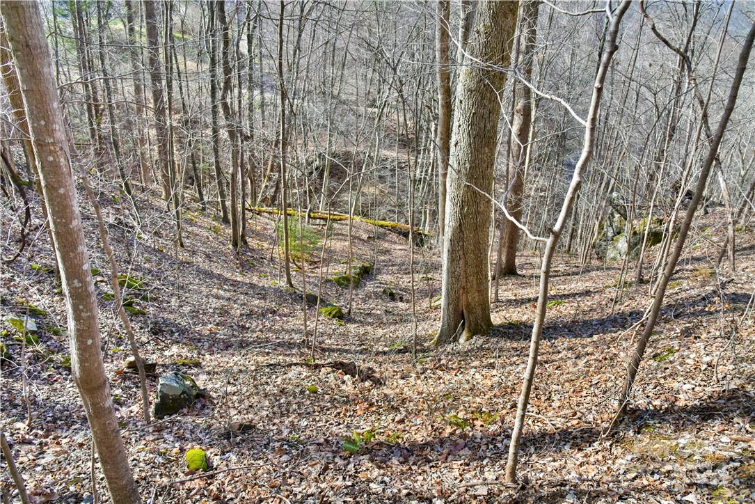 158 Sugar Cove Road Weaverville NC 28787