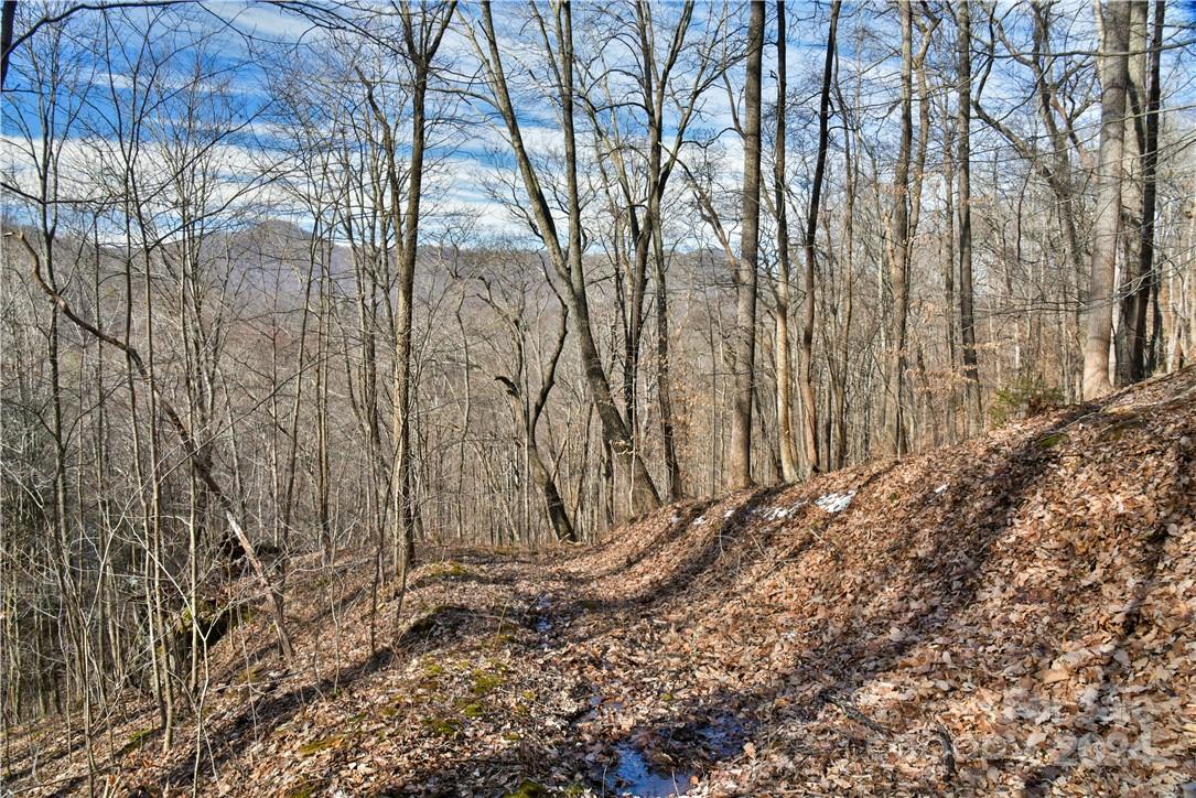 158 Sugar Cove Road Weaverville NC 28787