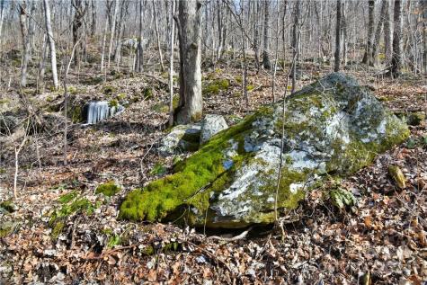 158 Sugar Cove Road Weaverville NC 28787