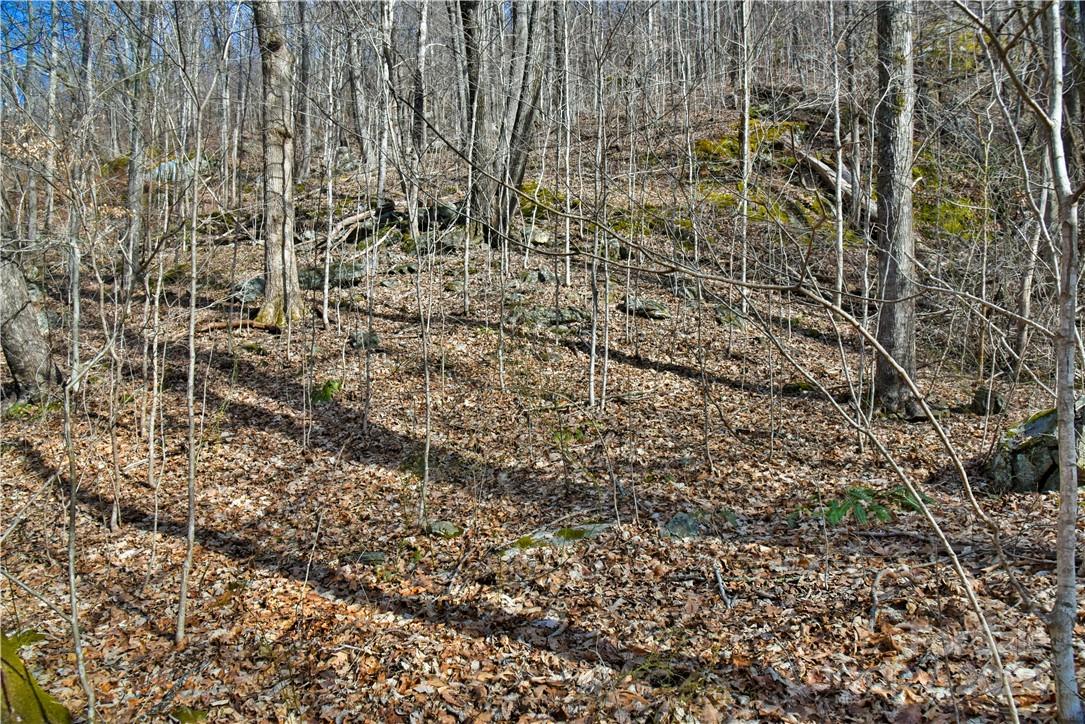 158 Sugar Cove Road Weaverville NC 28787