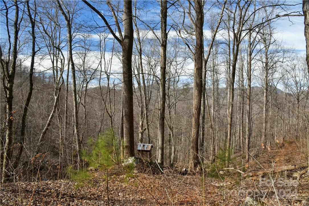 158 Sugar Cove Road Weaverville NC 28787