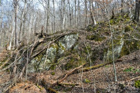 158 Sugar Cove Road Weaverville NC 28787