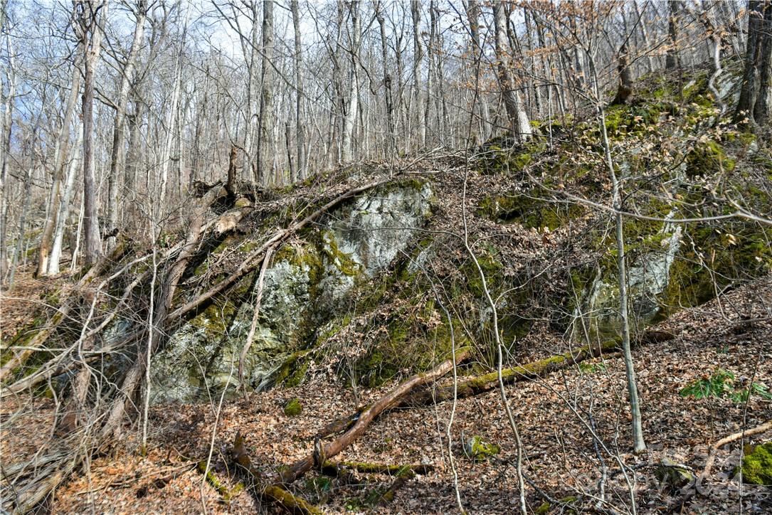 158 Sugar Cove Road Weaverville NC 28787