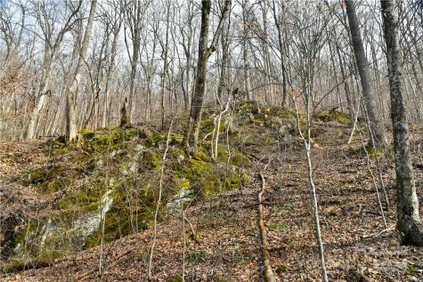 158 Sugar Cove Road Weaverville NC 28787