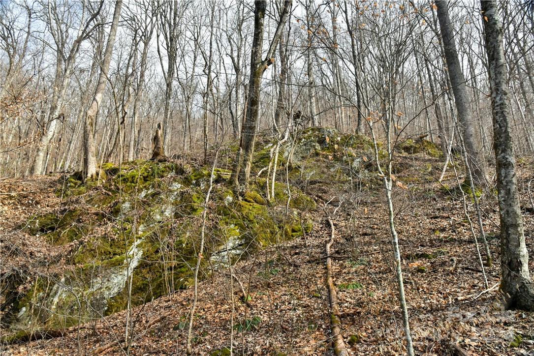 158 Sugar Cove Road Weaverville NC 28787