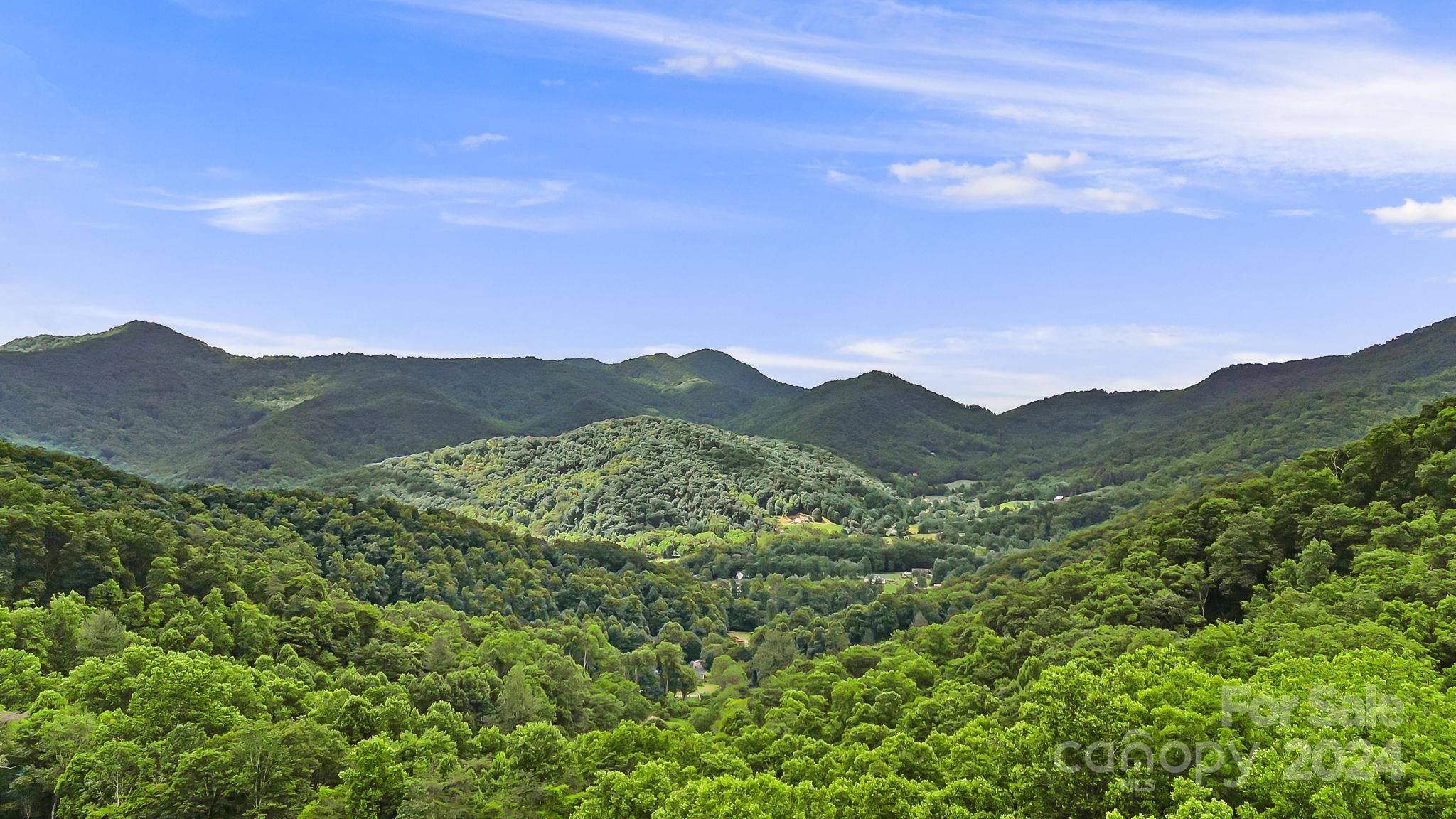 158 Sugar Cove Road Weaverville NC 28787