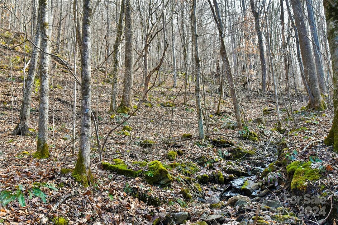 158 Sugar Cove Road Weaverville NC 28787