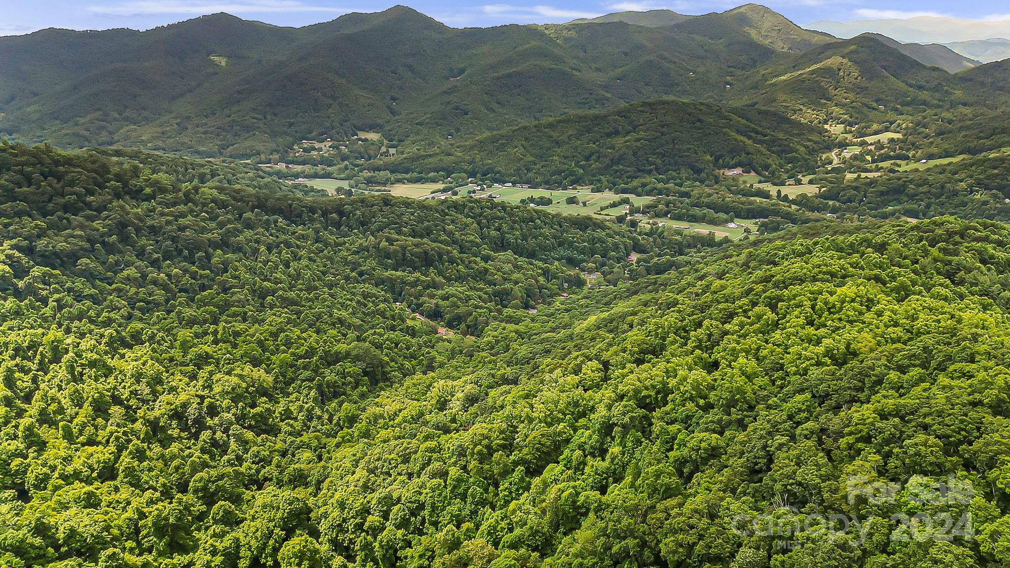 158 Sugar Cove Road Weaverville NC 28787