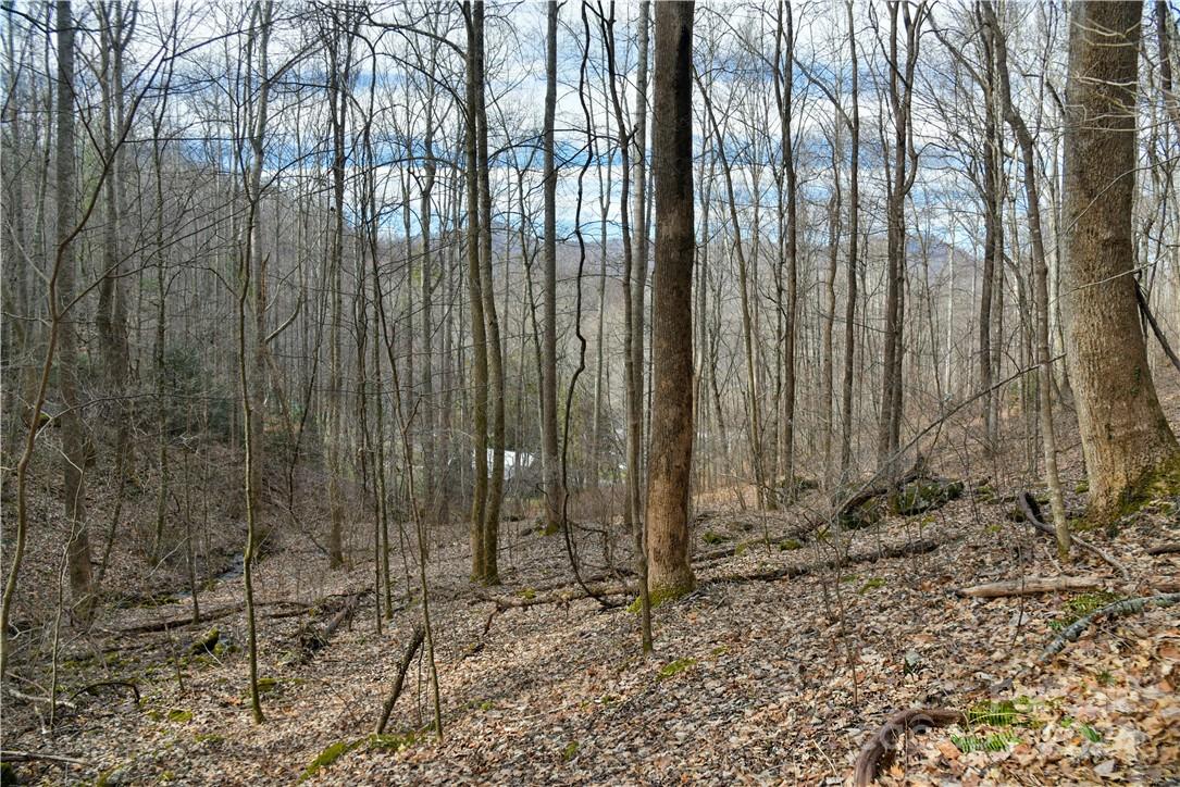 158 Sugar Cove Road Weaverville NC 28787