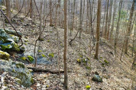 158 Sugar Cove Road Weaverville NC 28787