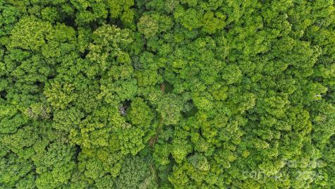 158 Sugar Cove Road Weaverville NC 28787