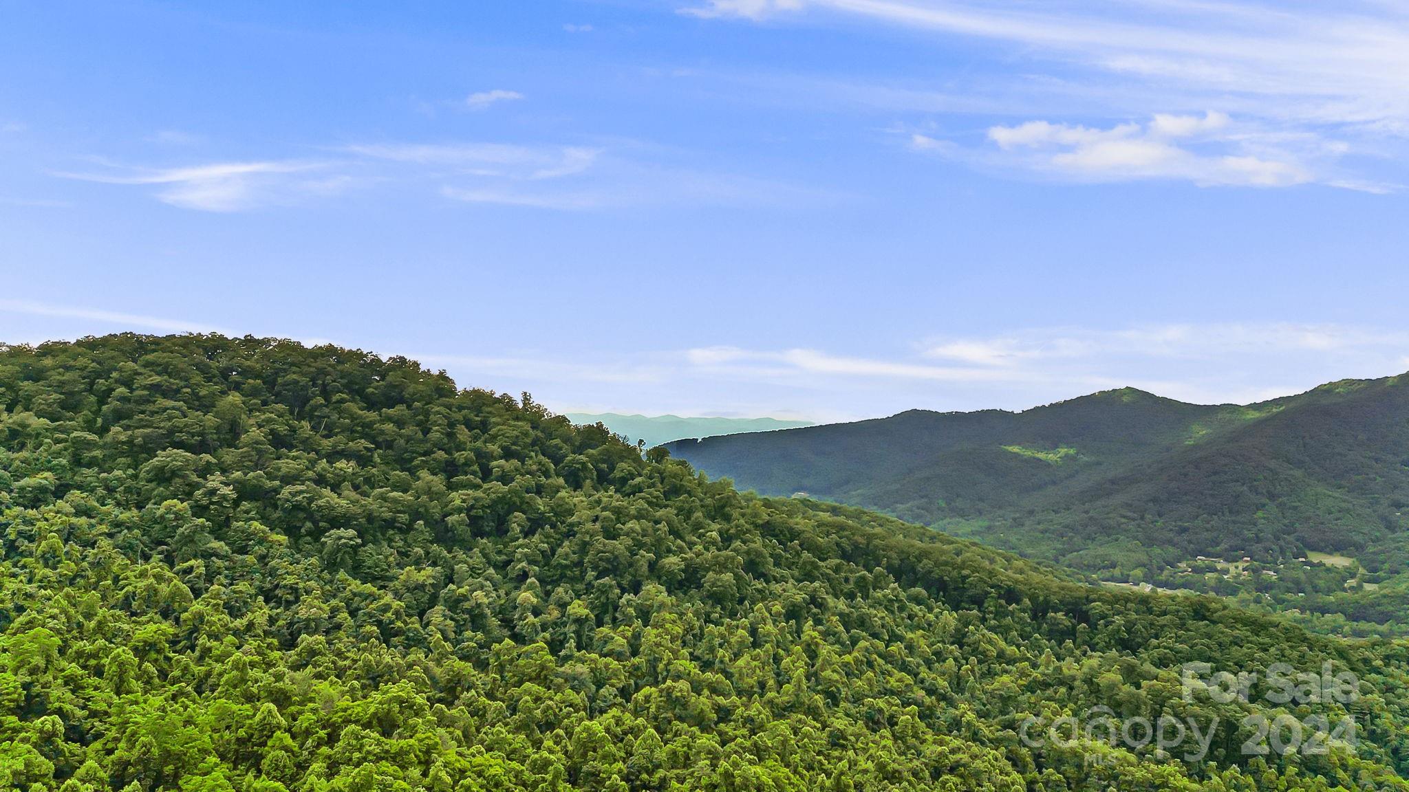 158 Sugar Cove Road Weaverville NC 28787