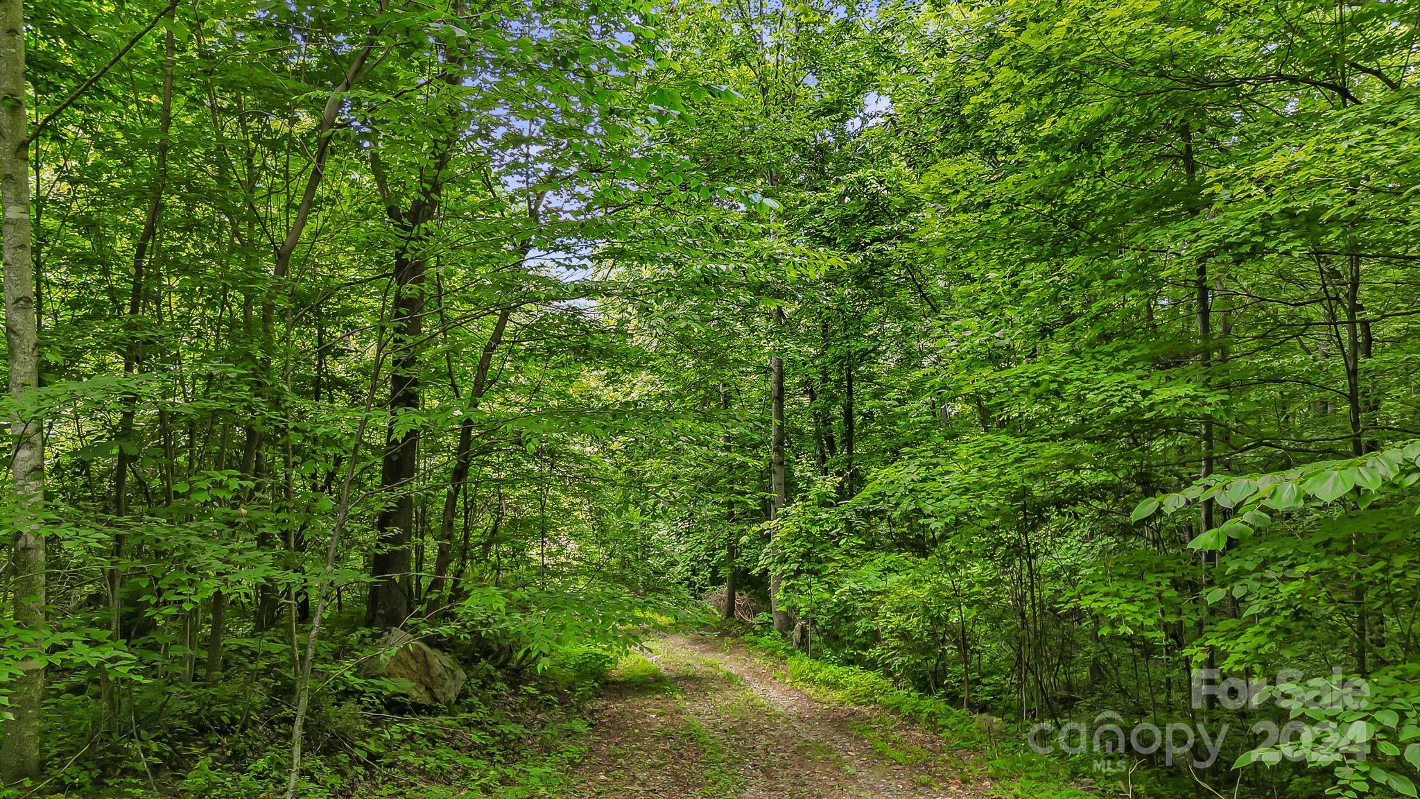 158 Sugar Cove Road Weaverville NC 28787