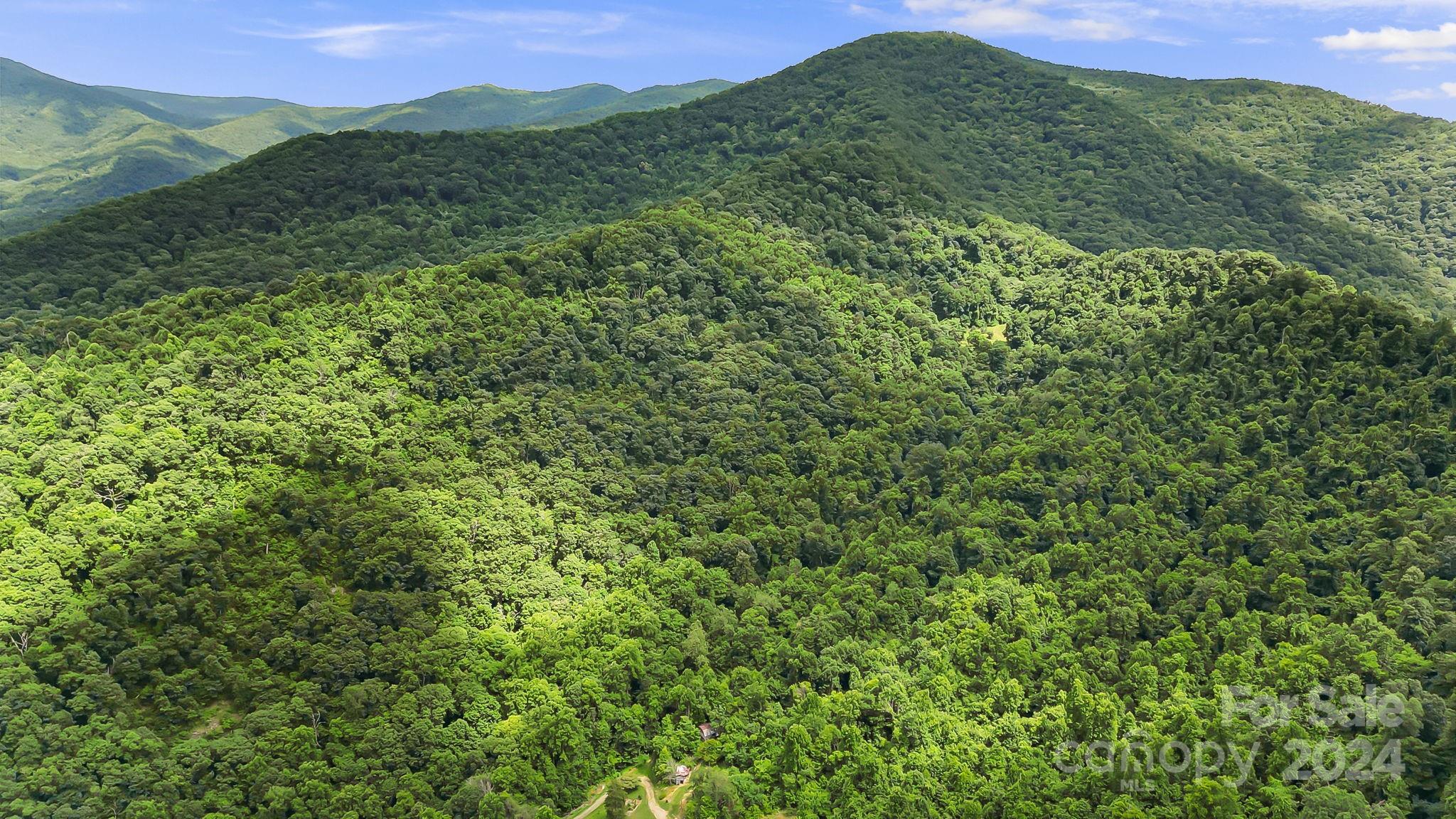 158 Sugar Cove Road Weaverville NC 28787