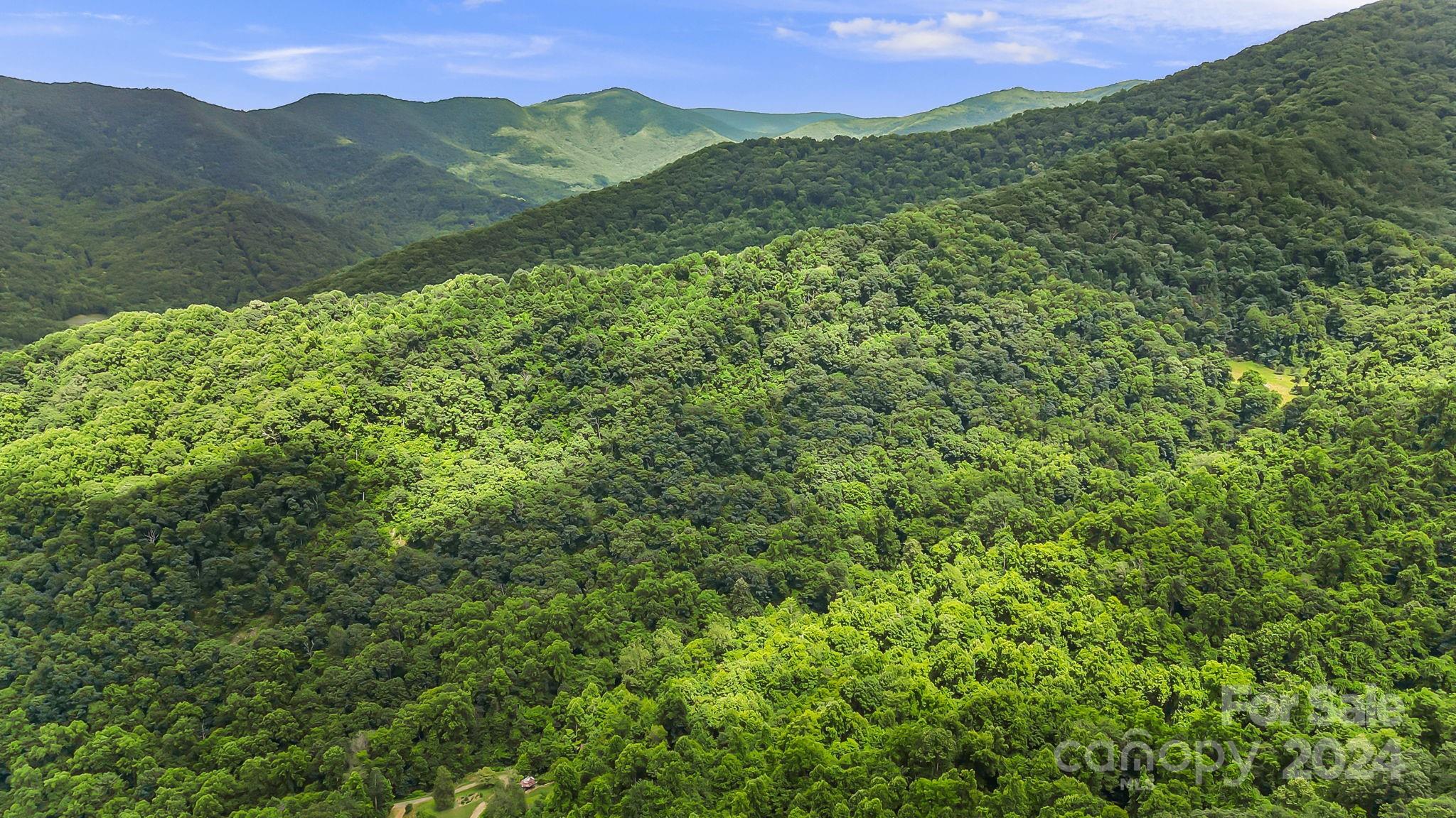 158 Sugar Cove Road Weaverville NC 28787
