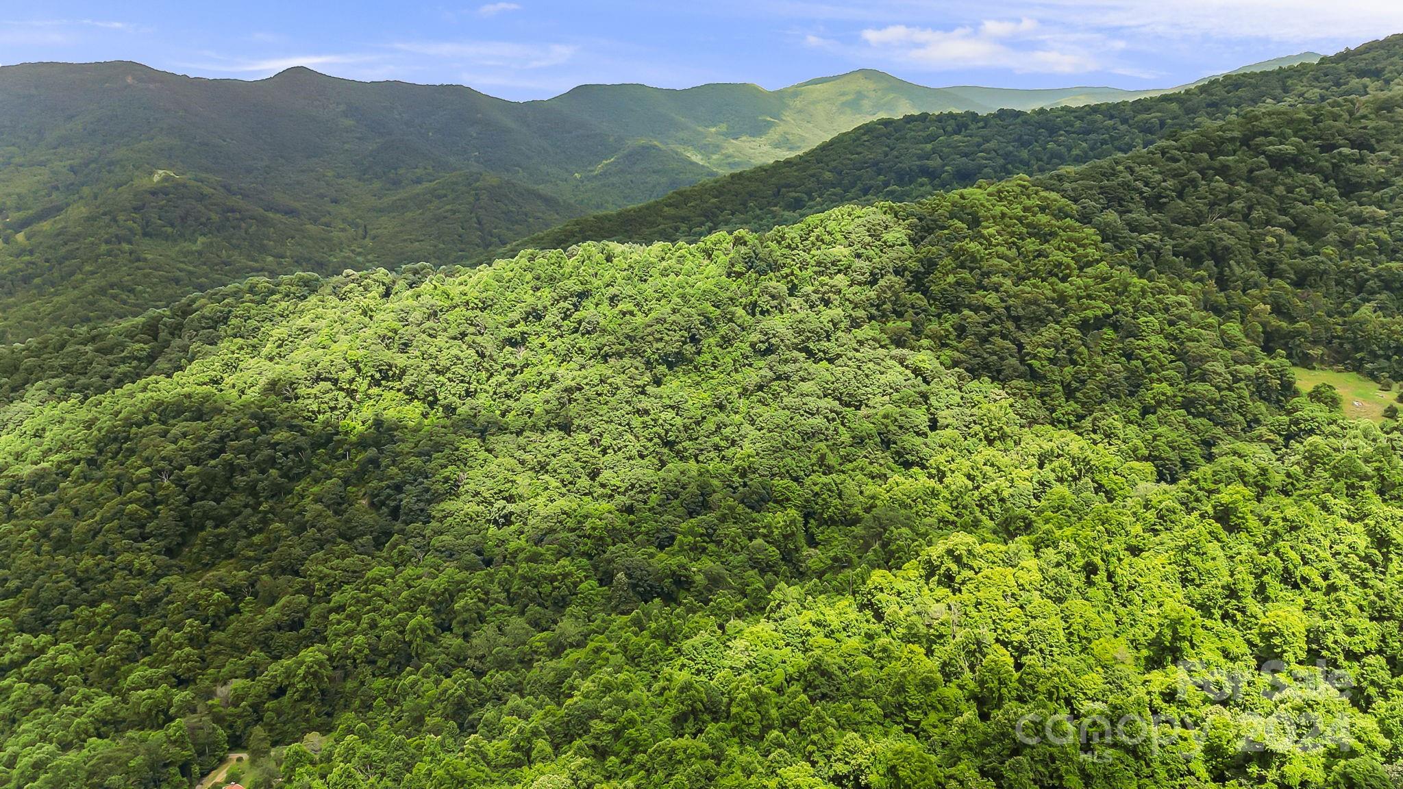 158 Sugar Cove Road Weaverville NC 28787