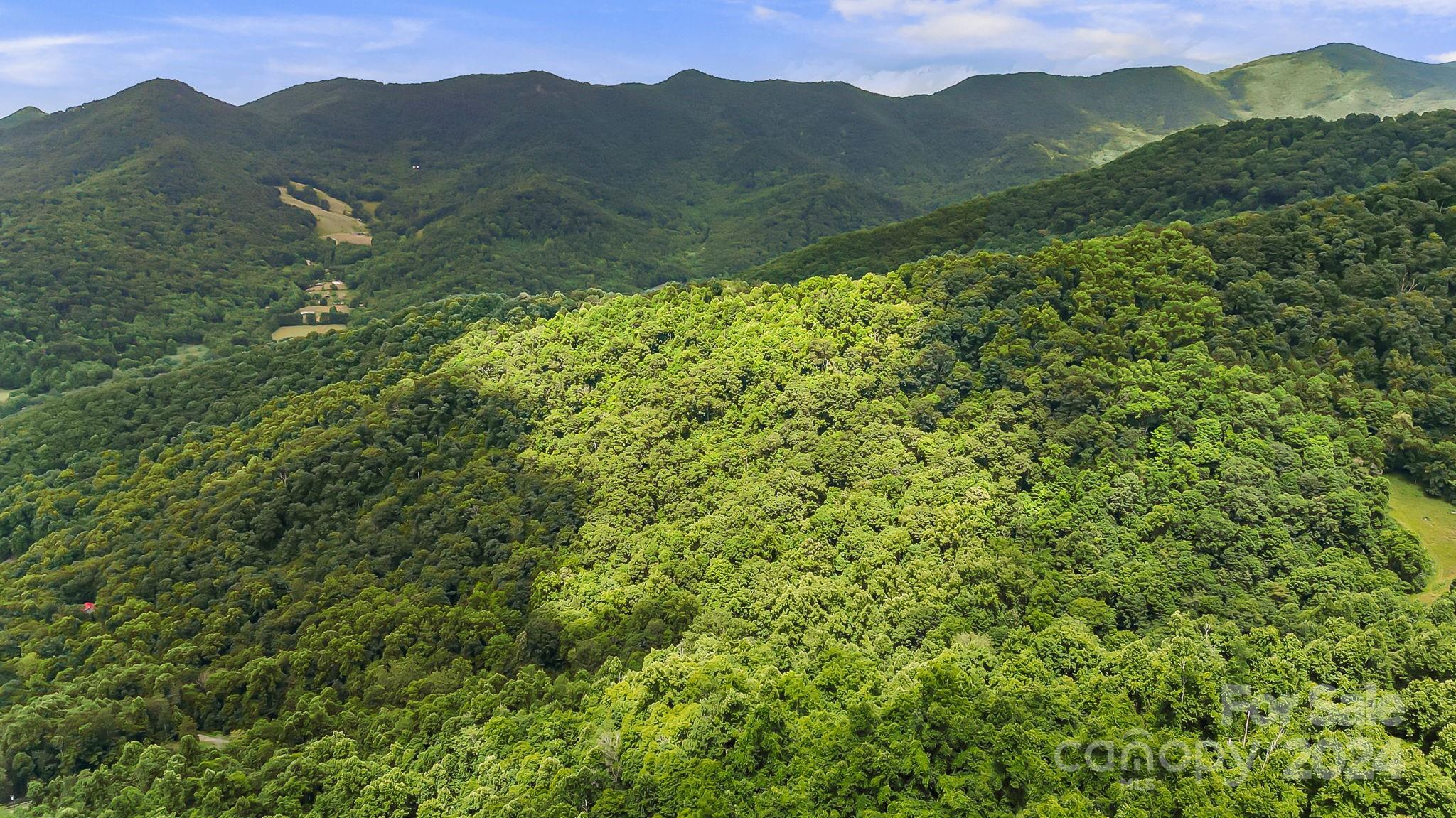 158 Sugar Cove Road Weaverville NC 28787