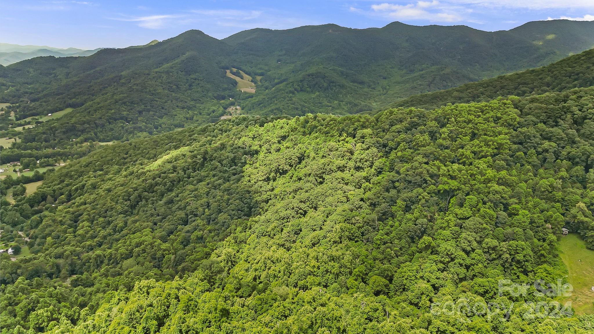 158 Sugar Cove Road Weaverville NC 28787