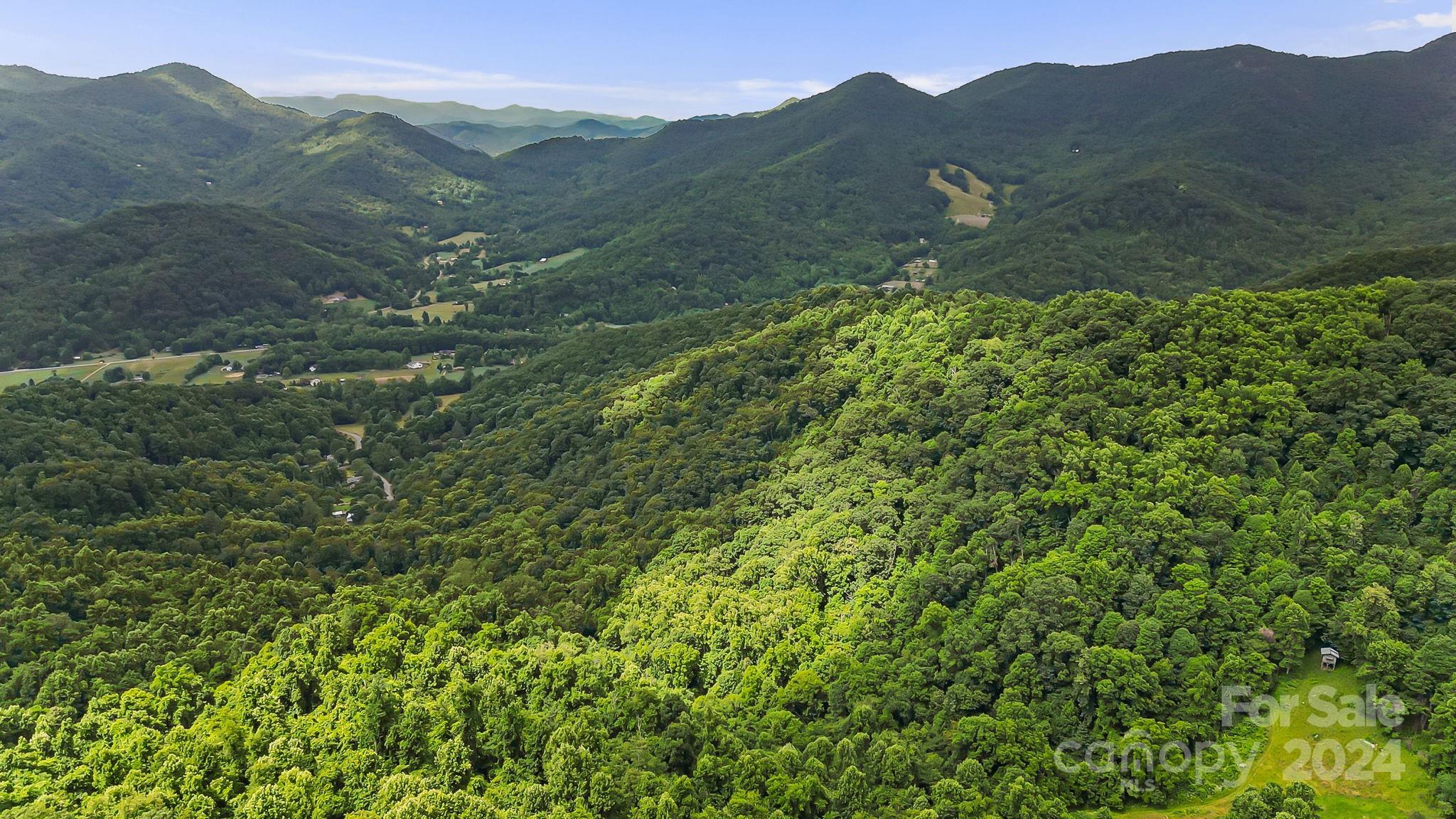 158 Sugar Cove Road Weaverville NC 28787