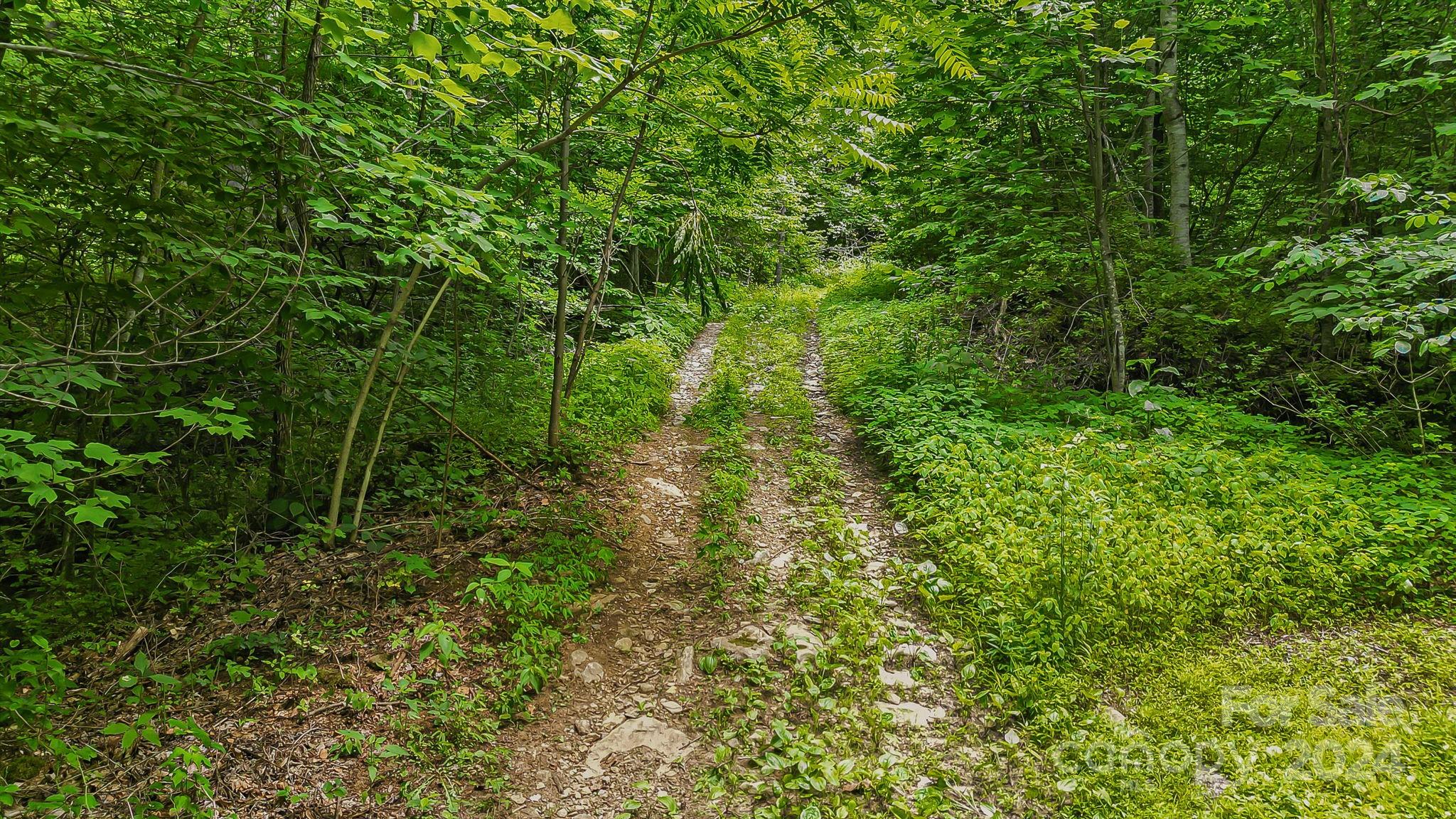 158 Sugar Cove Road Weaverville NC 28787