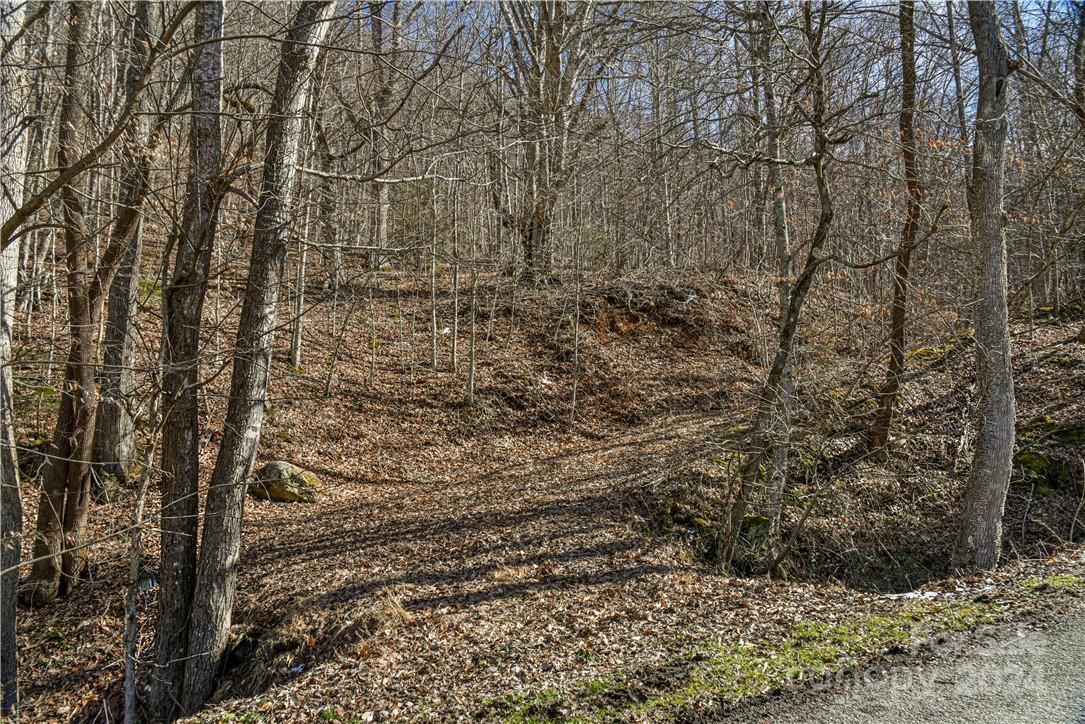 158 Sugar Cove Road Weaverville NC 28787