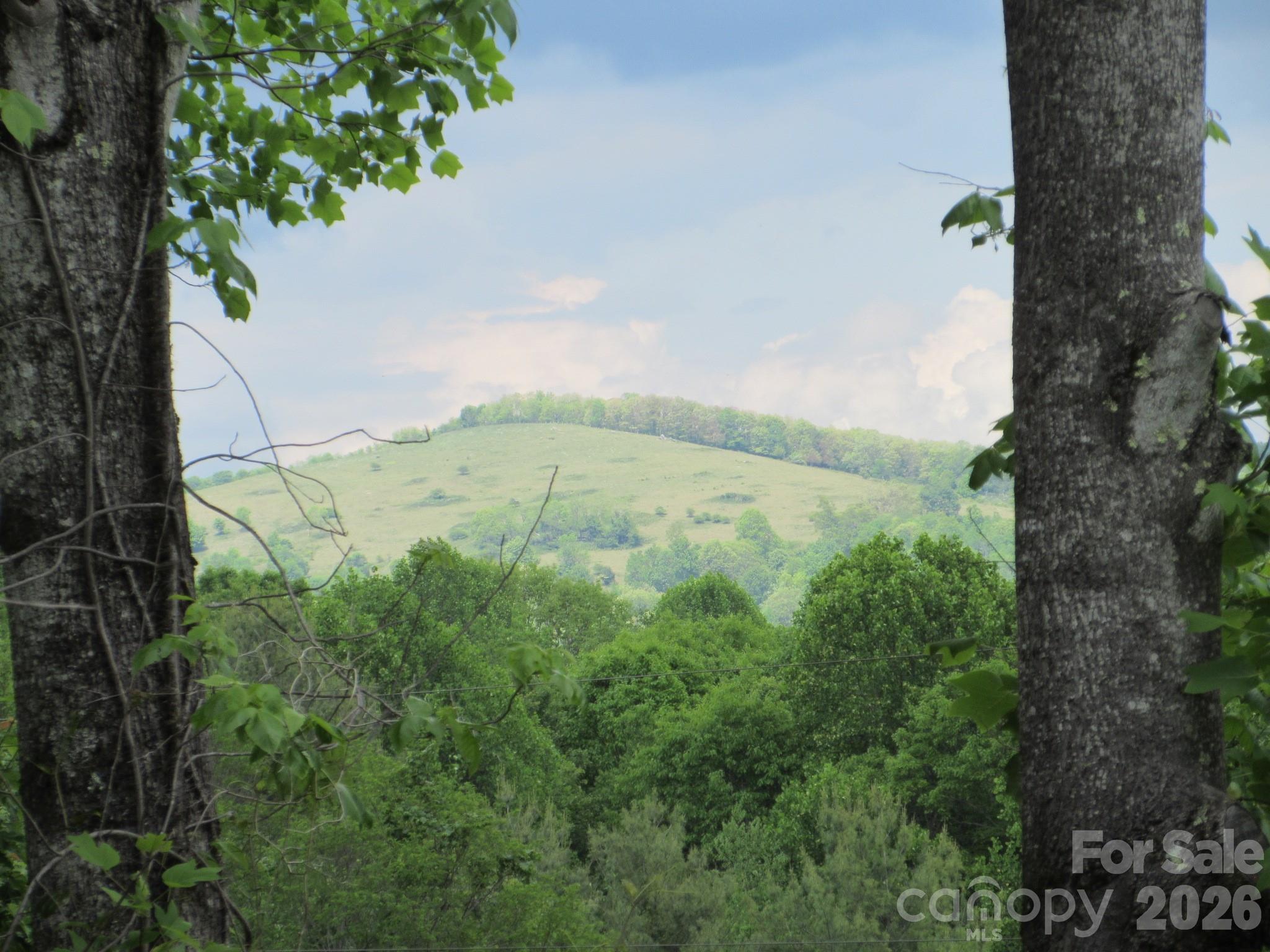 0 Rocky Top Trail Hot Springs NC 28743