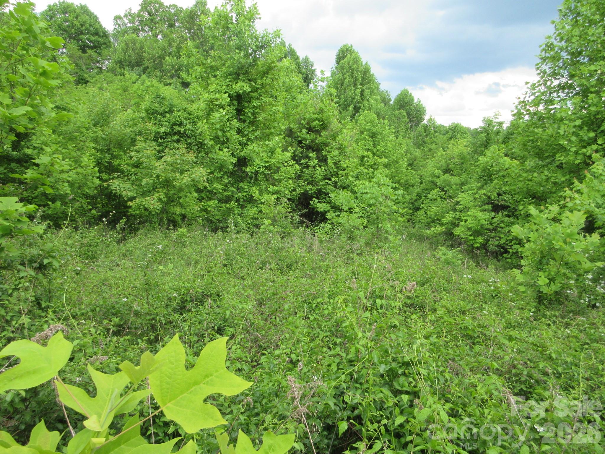 0 Rocky Top Trail Hot Springs NC 28743