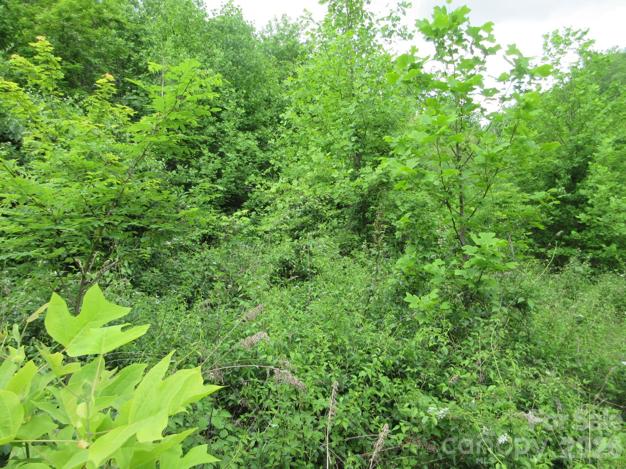 0 Rocky Top Trail Hot Springs NC 28743