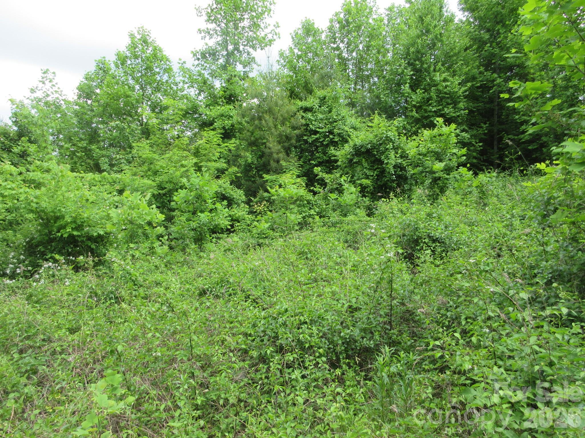 0 Rocky Top Trail Hot Springs NC 28743