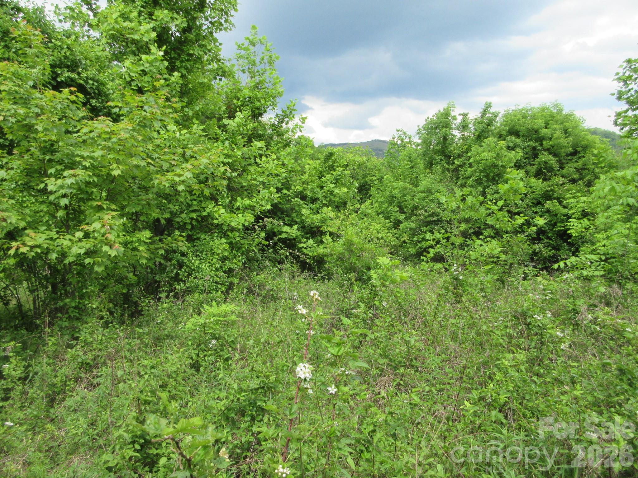 0 Rocky Top Trail Hot Springs NC 28743