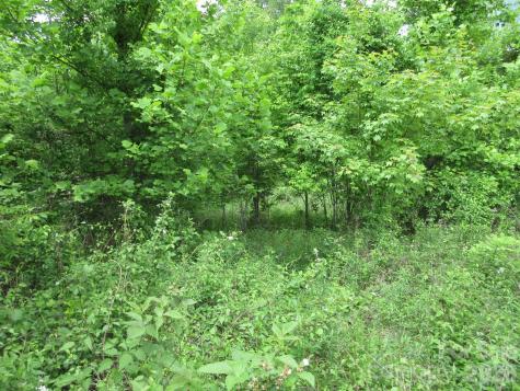 0 Rocky Top Trail Hot Springs NC 28743