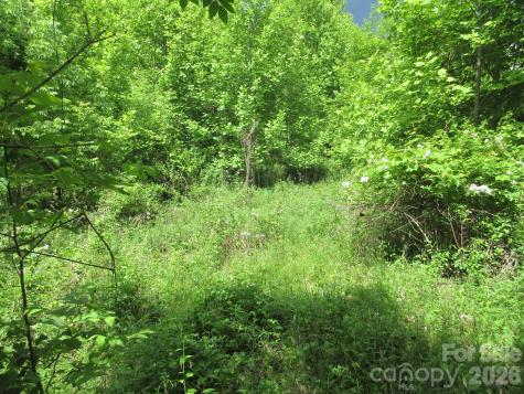 0 Rocky Top Trail Hot Springs NC 28743