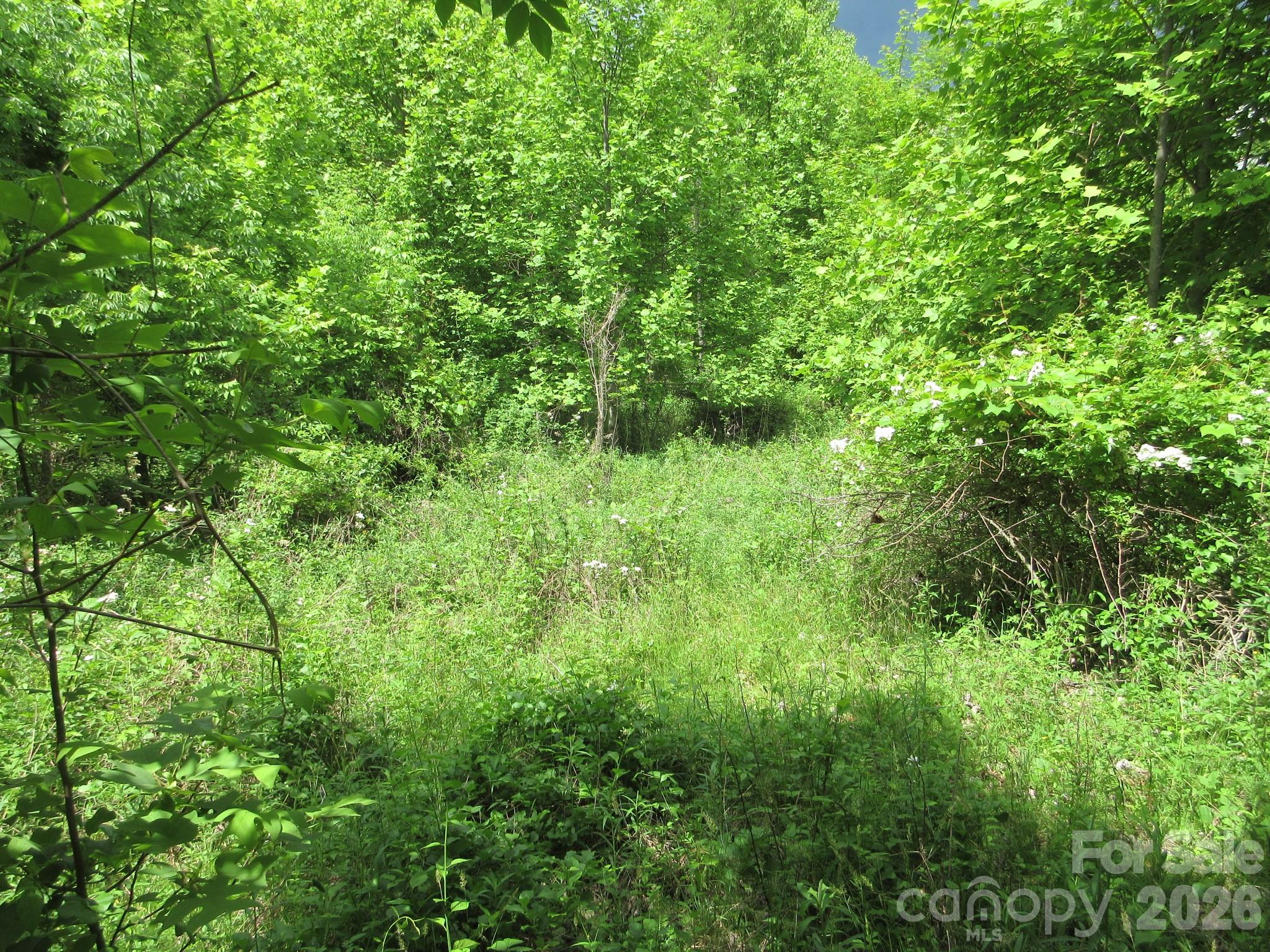 0 Rocky Top Trail Hot Springs NC 28743