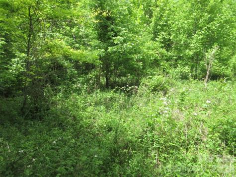 0 Rocky Top Trail Hot Springs NC 28743