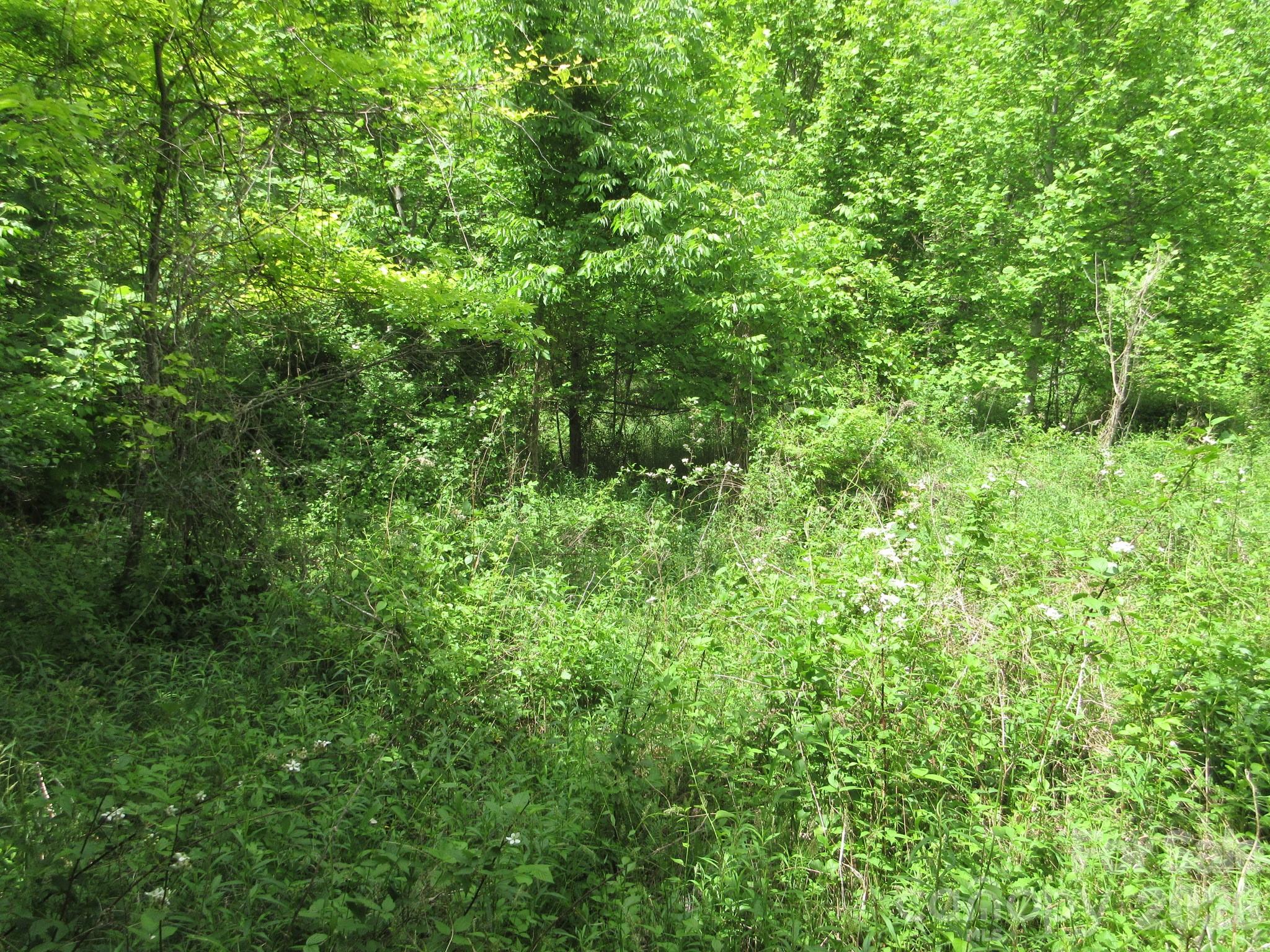 0 Rocky Top Trail Hot Springs NC 28743