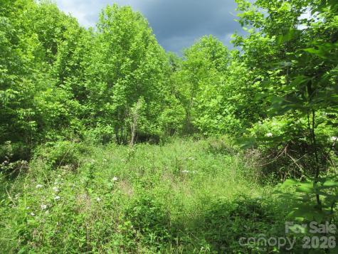 0 Rocky Top Trail Hot Springs NC 28743