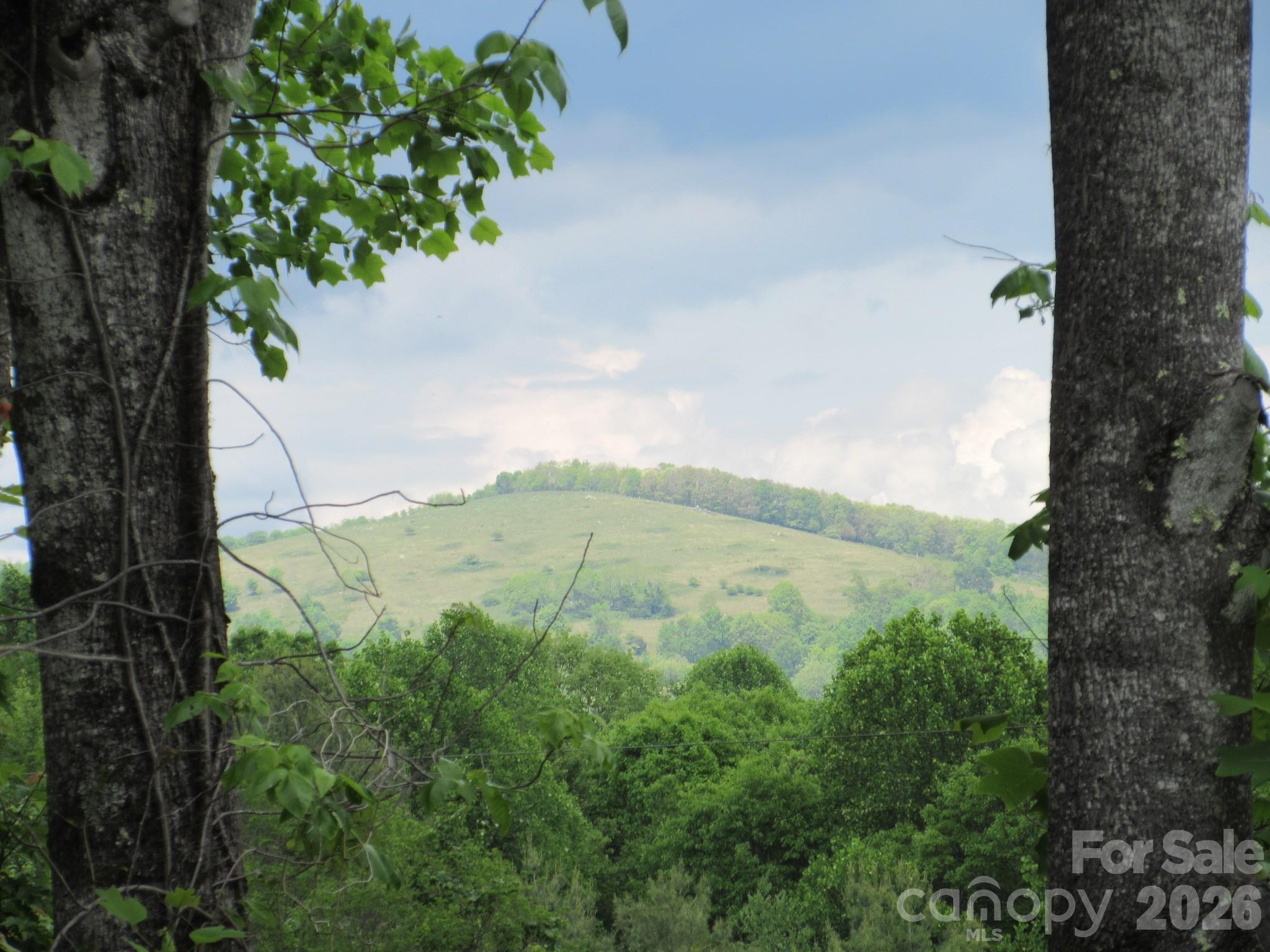 0 Rocky Top Trail Hot Springs NC 28743