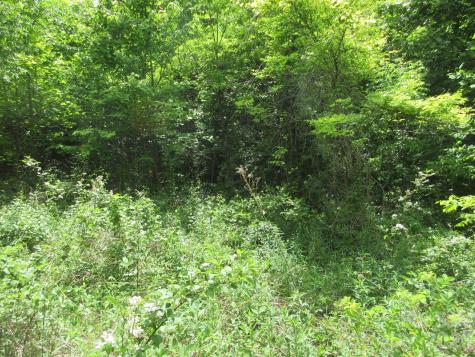 0 Rocky Top Trail Hot Springs NC 28743